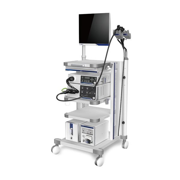 Endoscopy System Endoscopy System